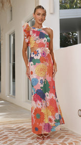 Amina Maxi Dress - Multi Floral