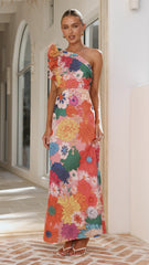 Amina Maxi Dress - Multi Floral